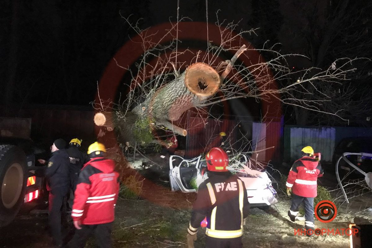 В Киеве из-за ветра дерево упало на Peugeot и раздавило мужчину: ещё один человек в больнице 5