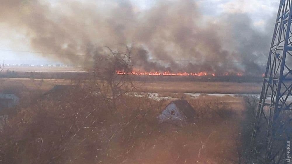 В Одесской области горит территория национального парка 1