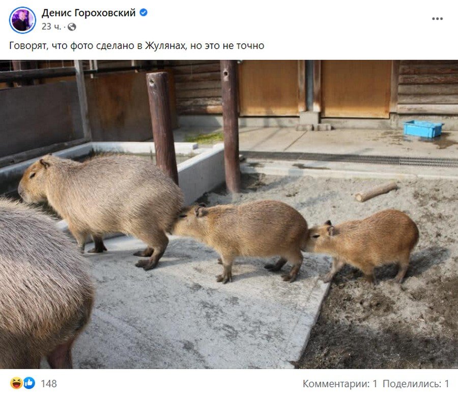 Как в Украине встречали, судили и пытались арестовать Порошенко. Только мемы и реакция соцсетей 1
