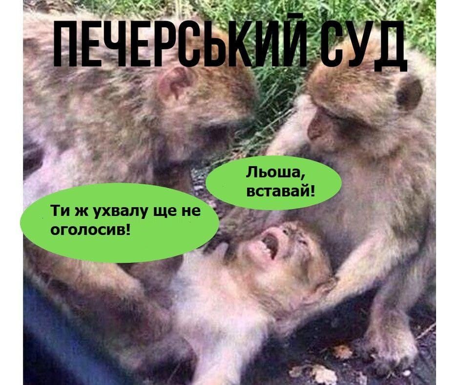Как в Украине встречали, судили и пытались арестовать Порошенко. Только мемы и реакция соцсетей 8