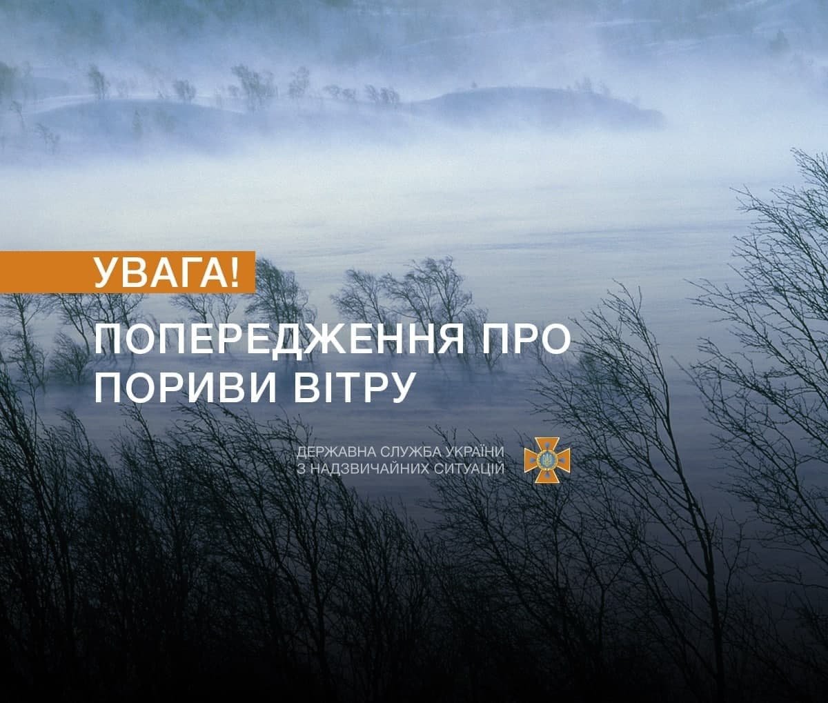 Украину накроют штормовой ветер и гололёд 1