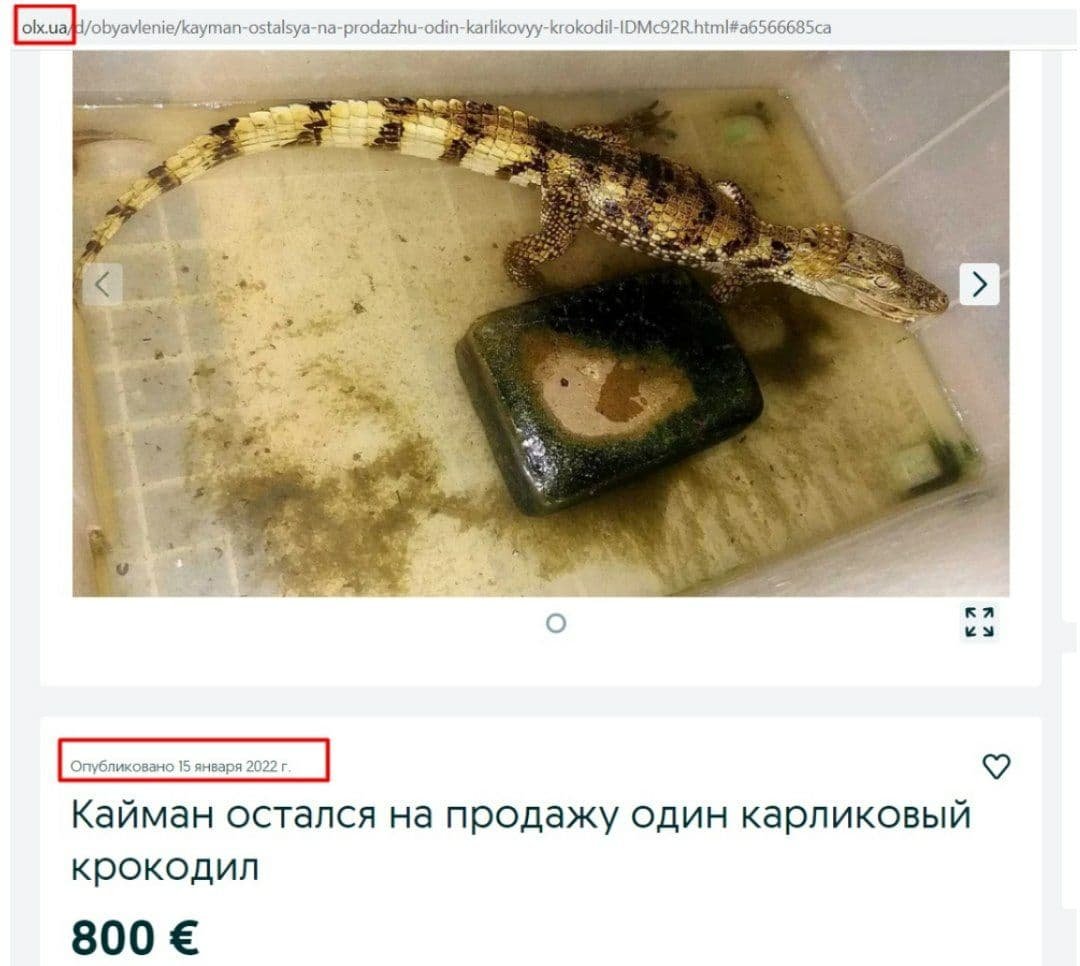 Сайт OLX оштрафовали за продажу диких животных 1