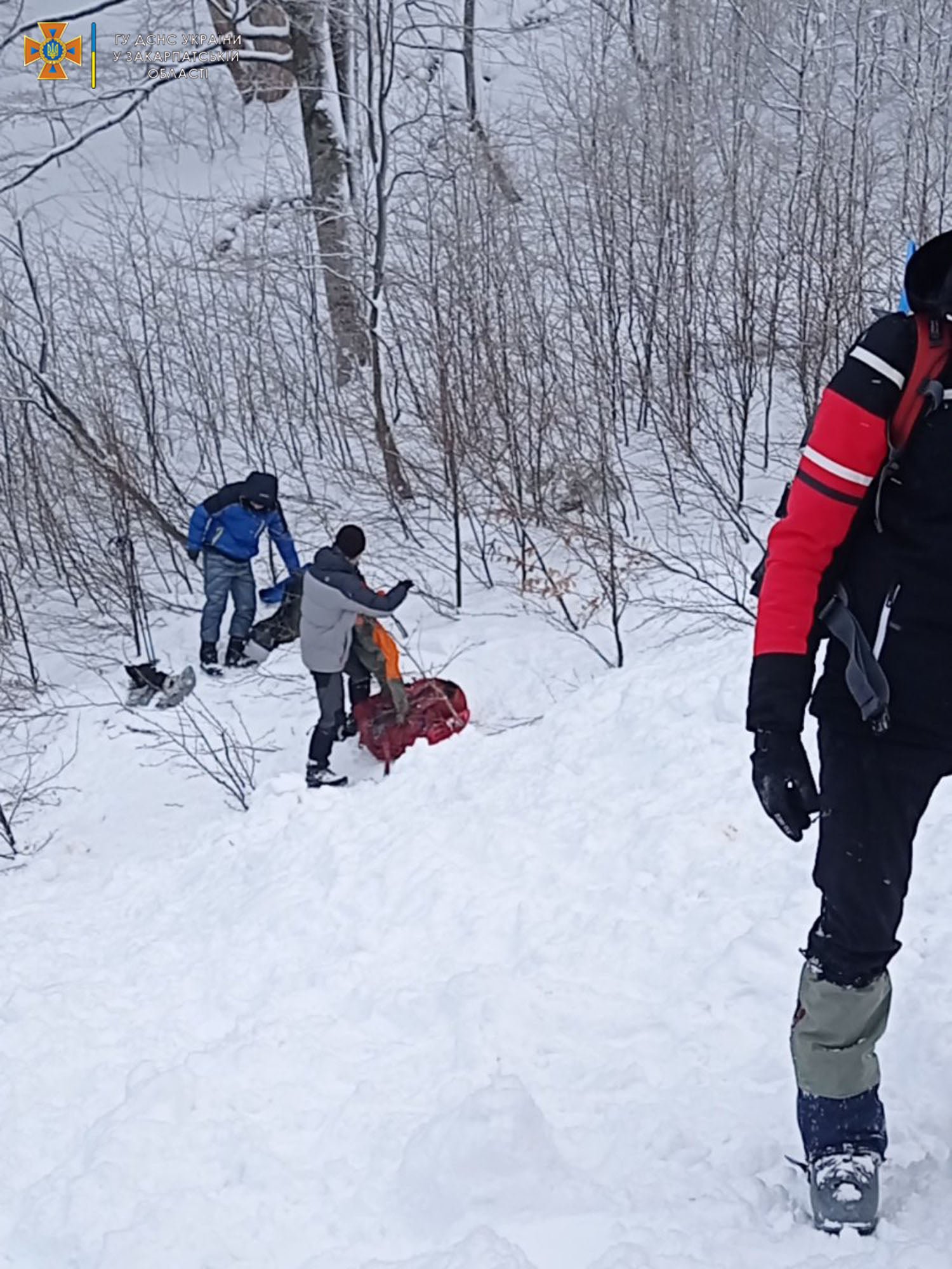 В Карпатах группу туристов накрыла лавина: появились новые подробности 5