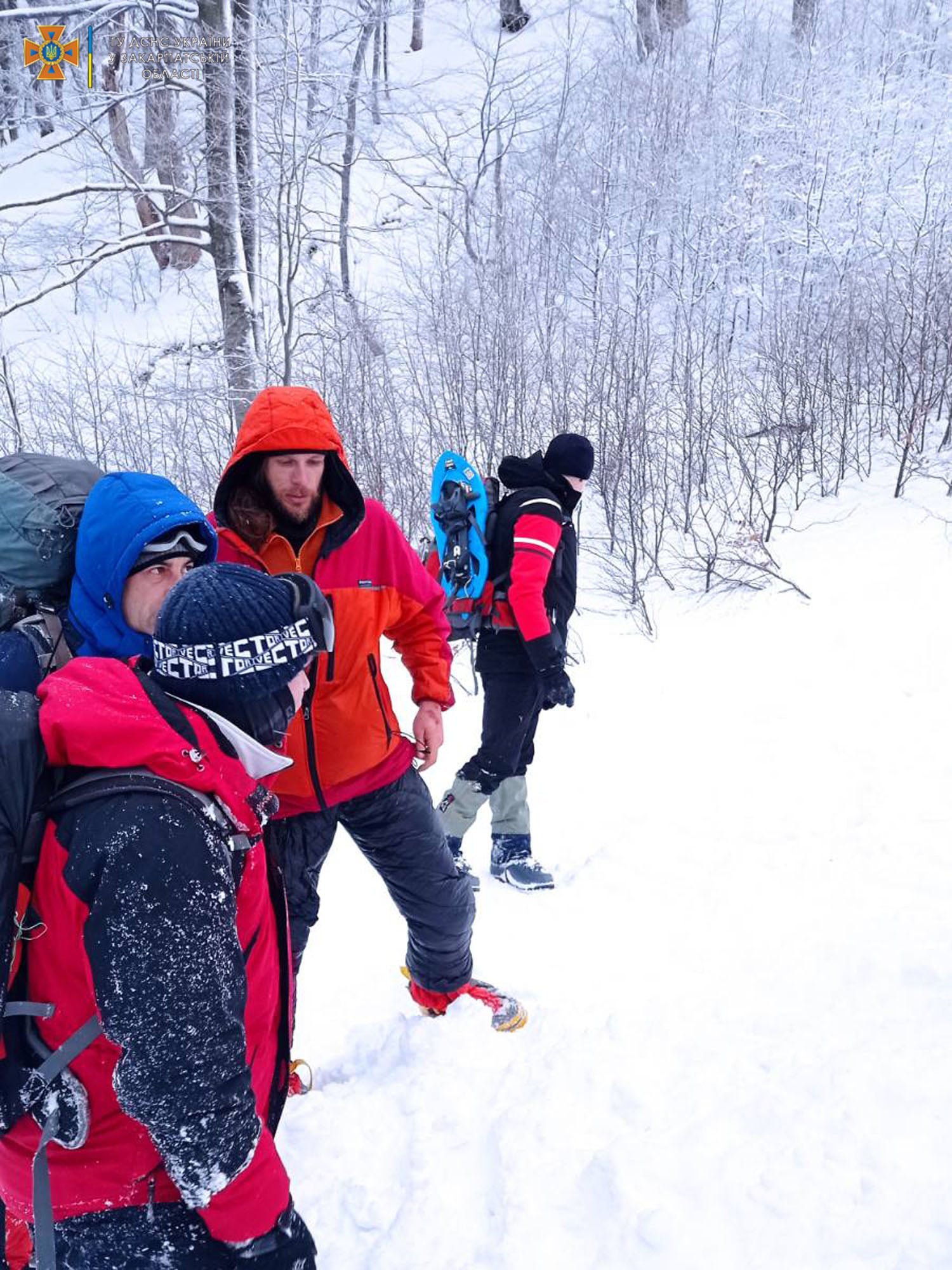 В Карпатах группу туристов накрыла лавина: появились новые подробности 6
