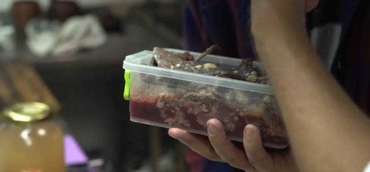 Во время интервью он показал ведущему мясо бобра, которое находится в контейнере.