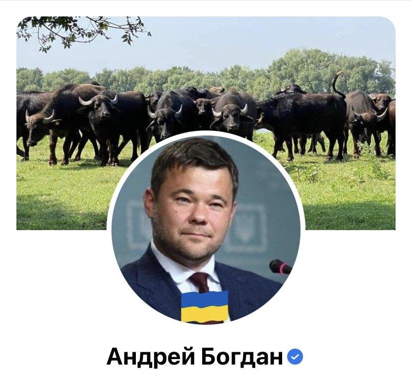 Facebook «завалили» цветами флага Украины: кто присоединился к патриотическому флешмобу 7