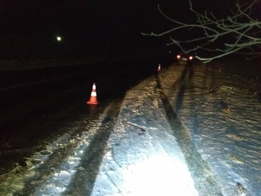 У Львові п'яний водій на Opel врізався в стовп і перекинувся: загинула жінка 2