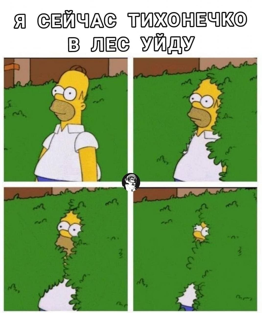«Давай я просто тихенько в ліс піду»: найкращі меми про "злив" відео з нардепом Трухіним 9