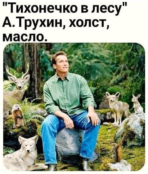 «Давай я просто тихенько в ліс піду»: найкращі меми про "злив" відео з нардепом Трухіним 16
