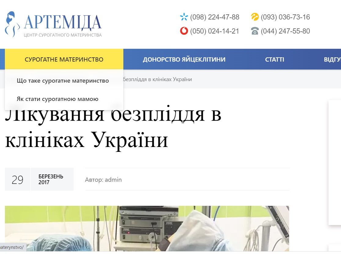 Законопроект про сурогатне материнство: хто захистить українських дітей 2