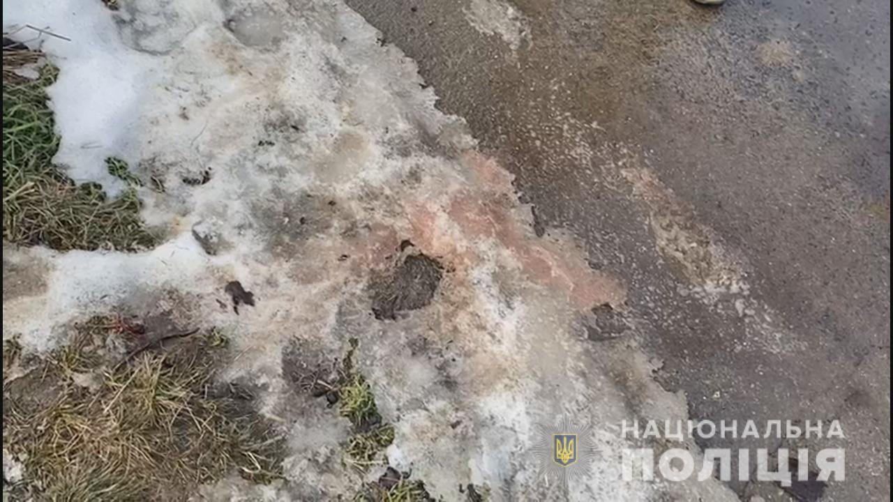 В Одесской области женщина разбила мужу топором голову, замотала в одеяло и выбросила к соседям 2