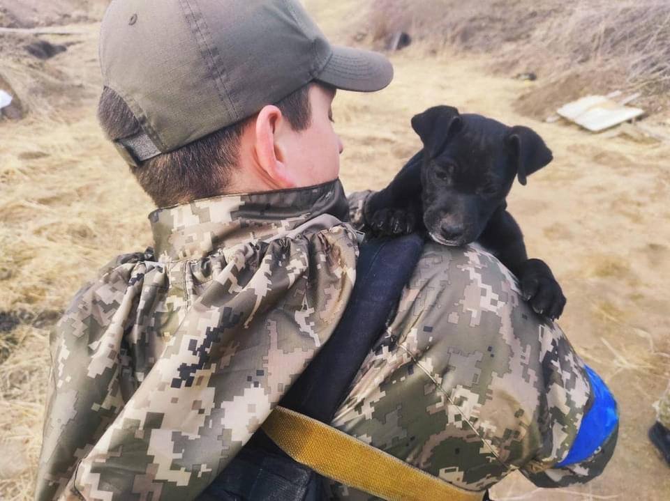 У Держприкордонслужбі народилася собака-захисниця: їй лише місяць і вона вже допомагає військовим 1