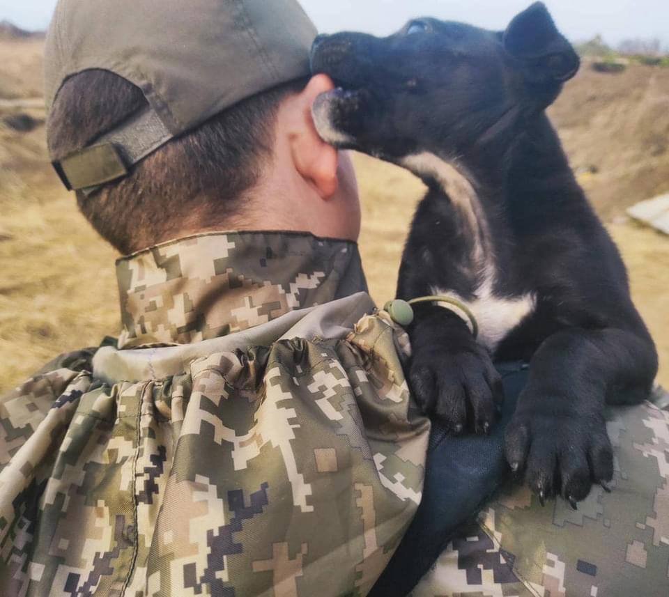 У Держприкордонслужбі народилася собака-захисниця: їй лише місяць і вона вже допомагає військовим 4