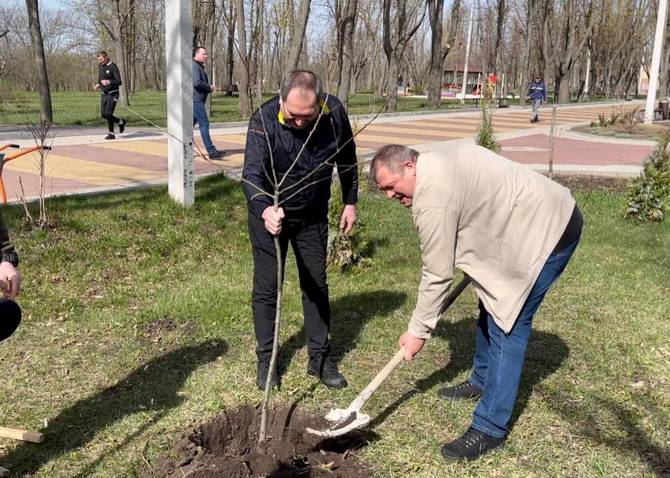 В Кропивницком высадили деревья в честь 10 городов-героев 3
