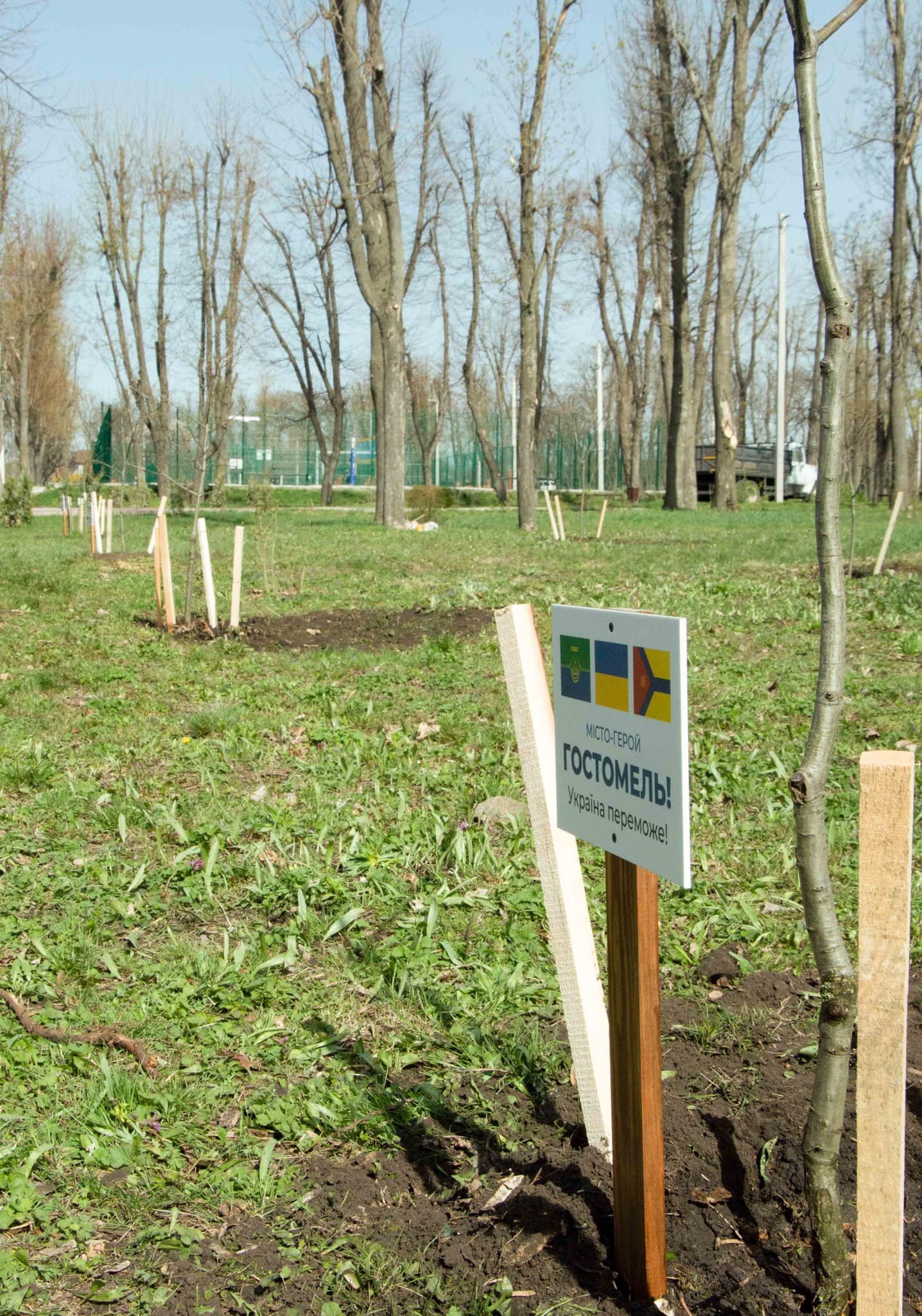 В Кропивницком высадили деревья в честь 10 городов-героев 1