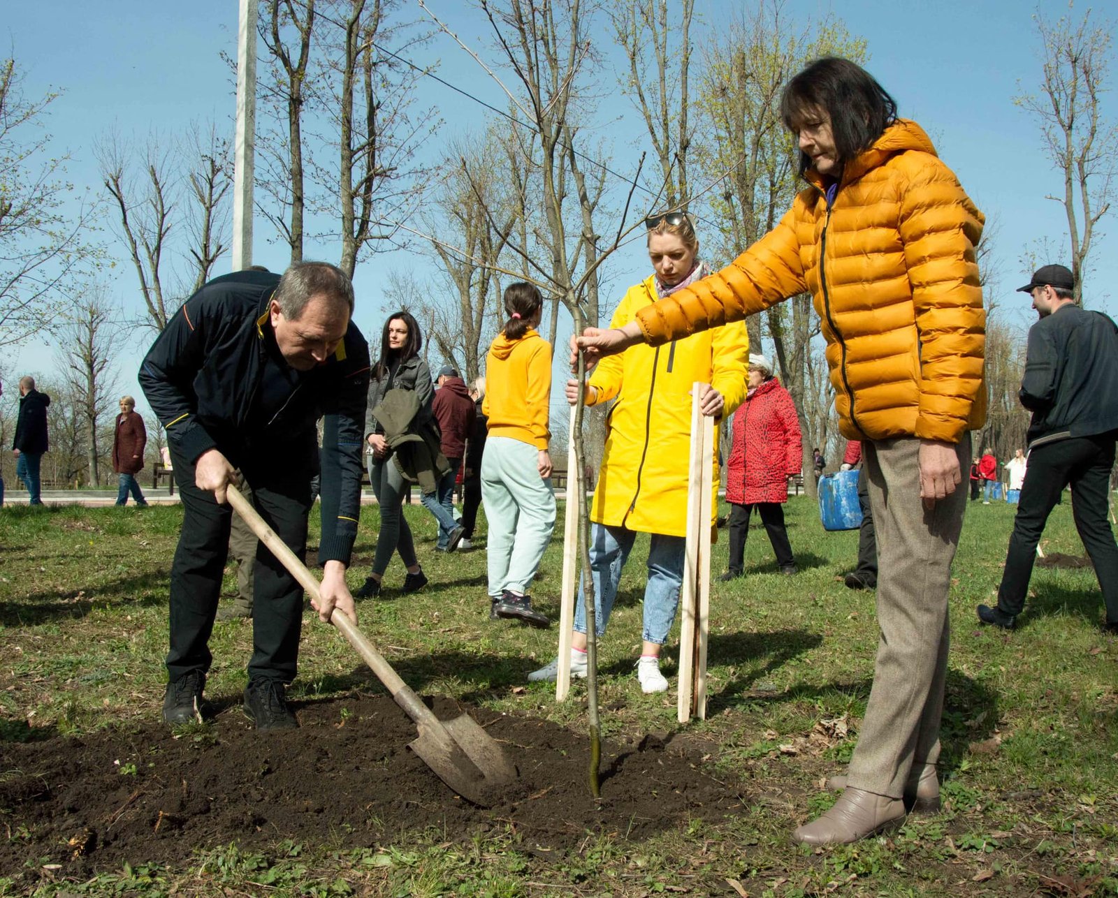 В Кропивницком высадили деревья в честь 10 городов-героев 4