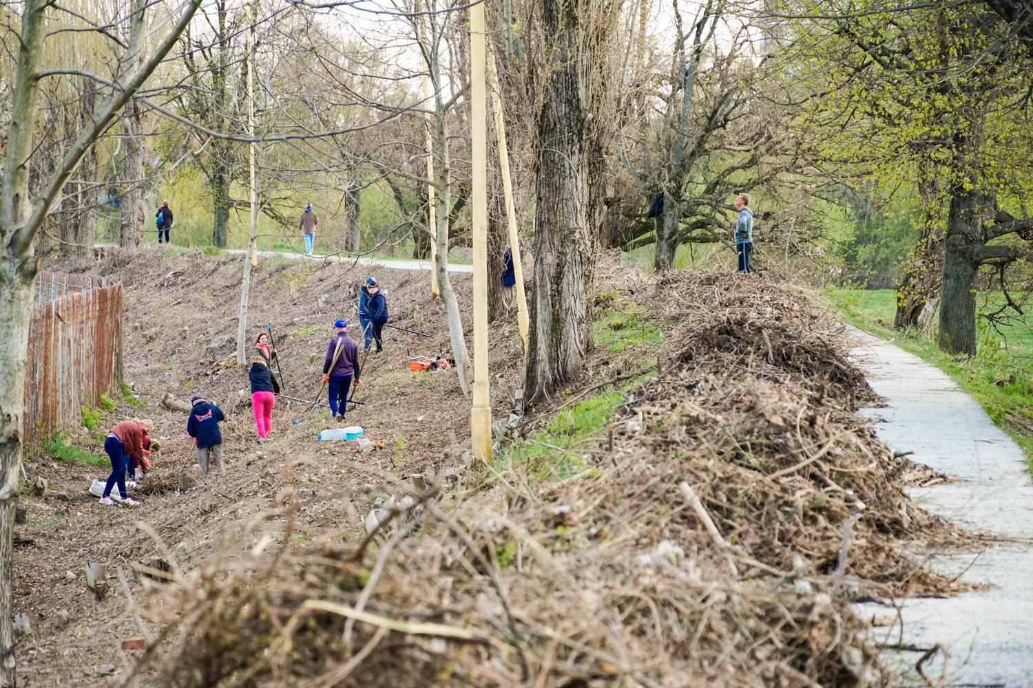 В Ужгороде Липовую аллею сделают ещё длиннее: люди высадят молодые деревья 1