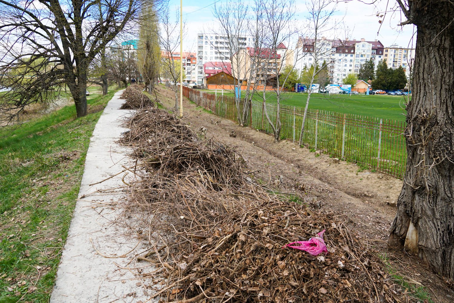 В Ужгороде Липовую аллею сделают ещё длиннее: люди высадят молодые деревья 3
