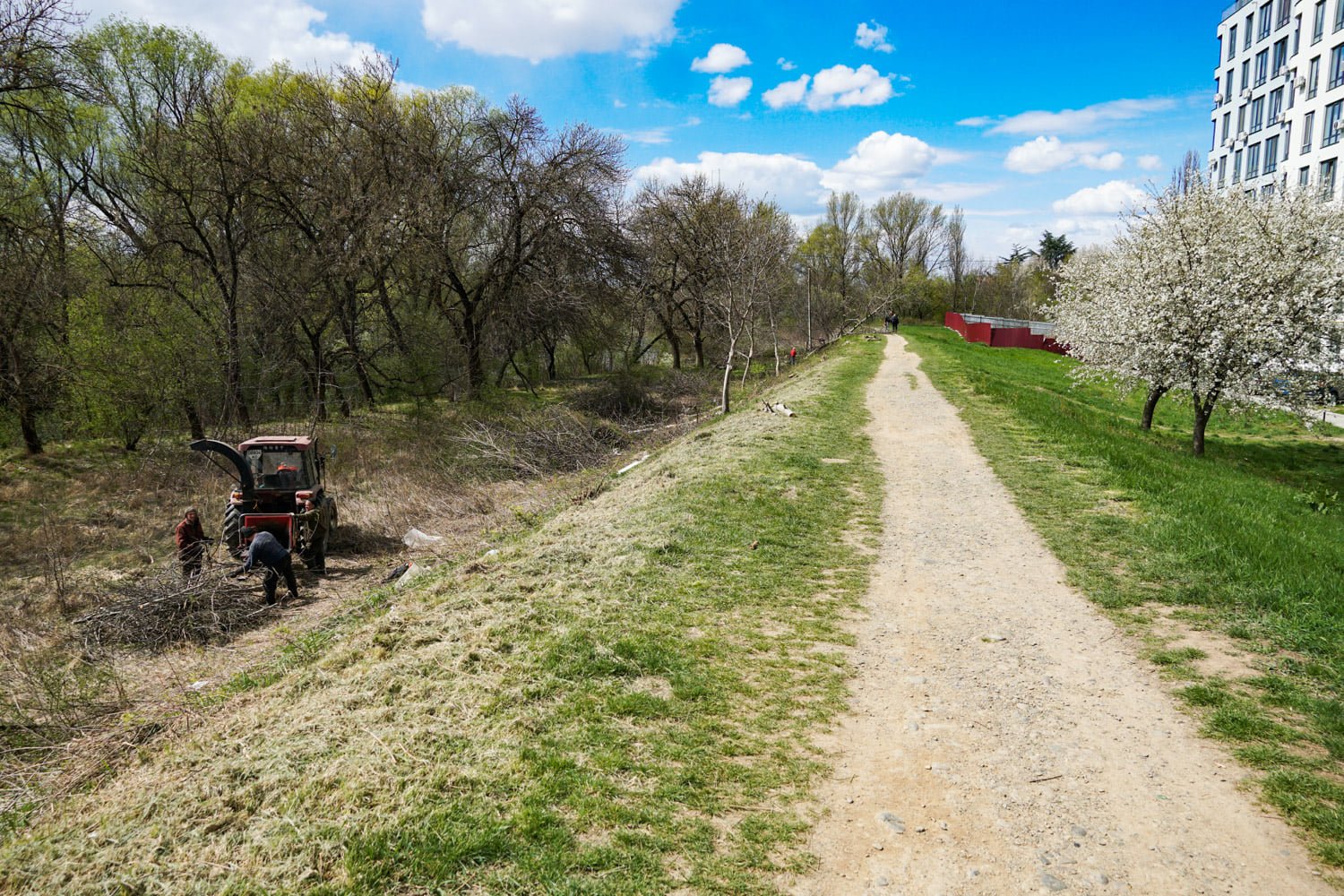 В Ужгороде Липовую аллею сделают ещё длиннее: люди высадят молодые деревья 5