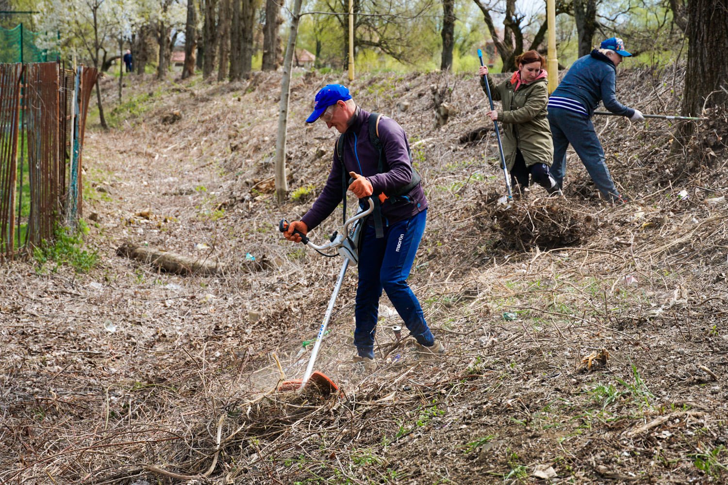В Ужгороде Липовую аллею сделают ещё длиннее: люди высадят молодые деревья 6