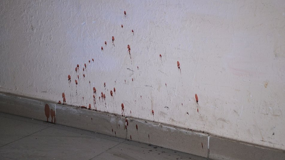 Стены в крови и руины вместо квартир: как теперь выглядит дом в Одессе после прилёта от «русского мира» 2