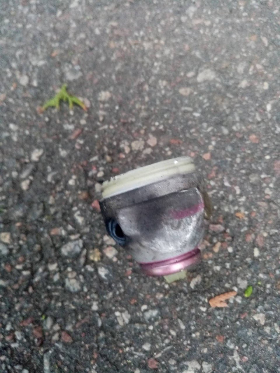 Оккупанты обстреливают Николаев: попали в зоопарк и школу 4