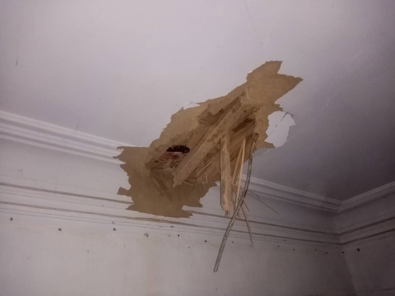 Оккупанты обстреливают Николаев: попали в зоопарк и школу 3