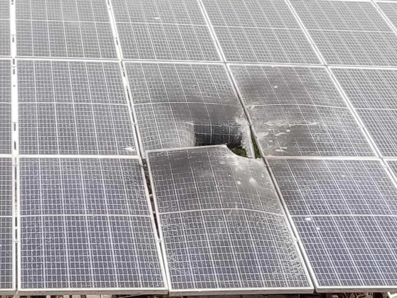 Оккупанты обстреливают Николаев: попали в зоопарк и школу 5