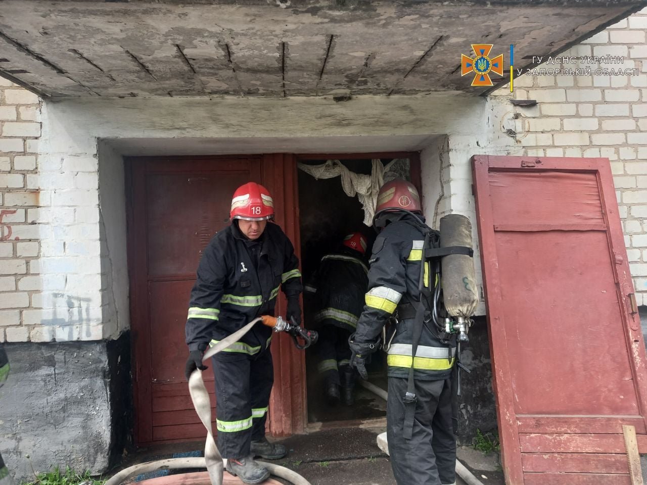 В Запорожской области спасли из горящей квартиры мопса 2