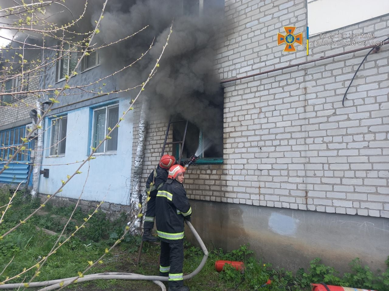 В Запорожской области спасли из горящей квартиры мопса 1