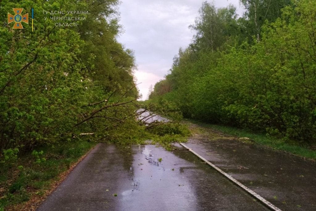 Черниговскую область накрыл сильный ураган: часть жителей осталась без света 2
