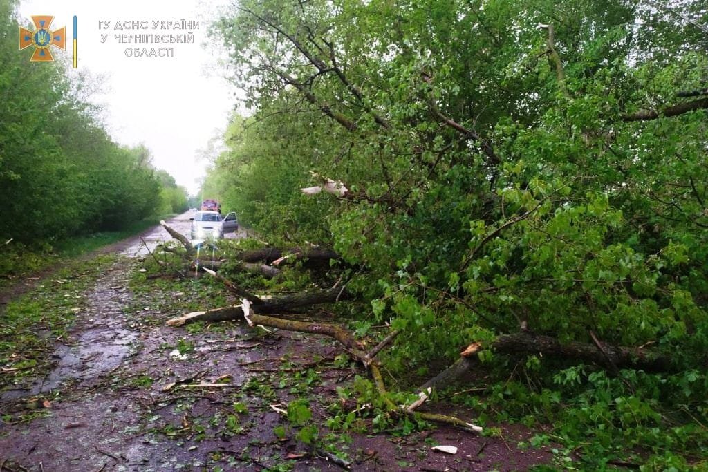 Черниговскую область накрыл сильный ураган: часть жителей осталась без света 1