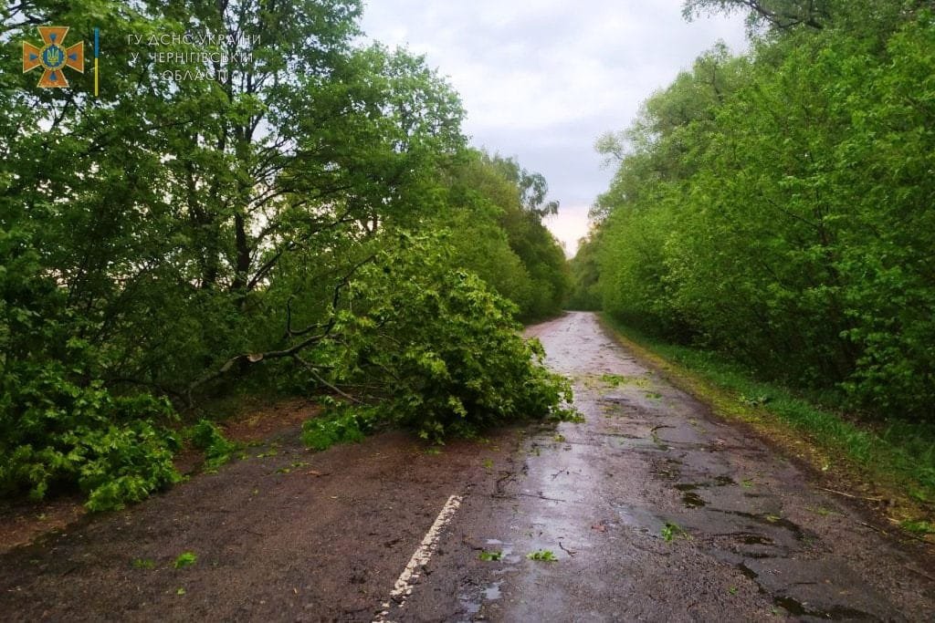 Черниговскую область накрыл сильный ураган: часть жителей осталась без света 3