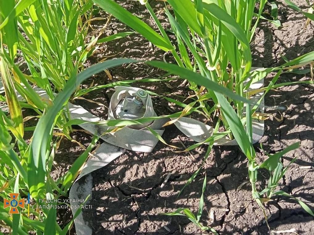 На острові Хортиця загасили пожежу: туди влучила ракета окупантів 2