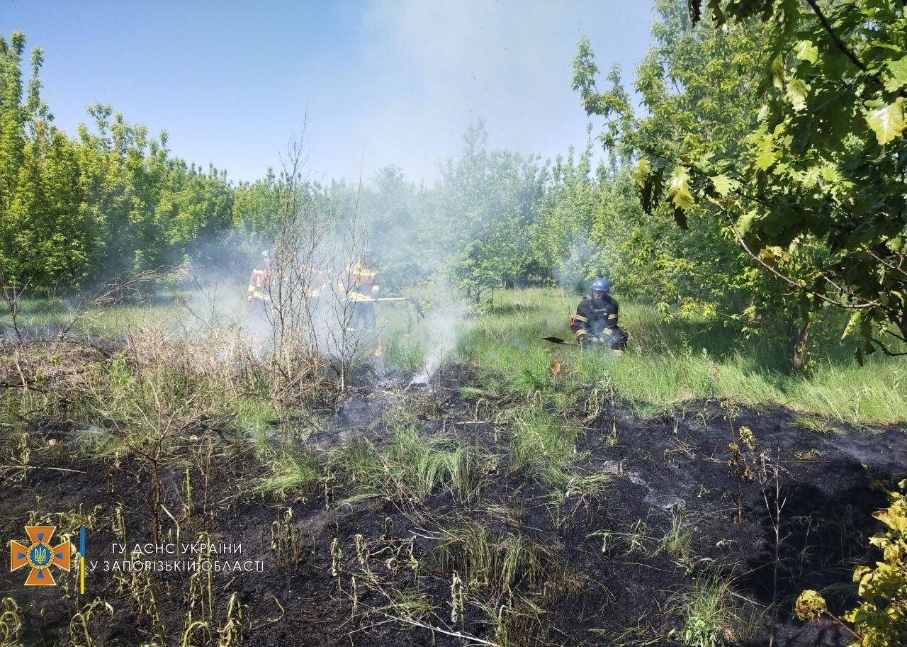 На острові Хортиця загасили пожежу: туди влучила ракета окупантів 1