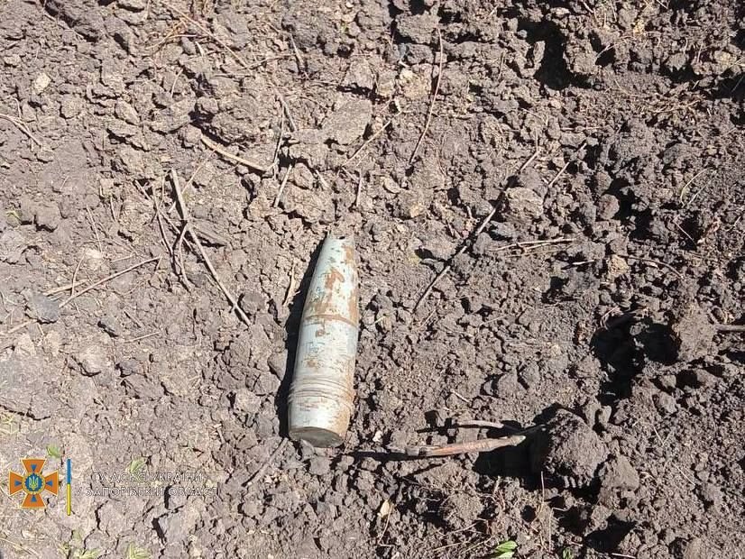 На острові Хортиця загасили пожежу: туди влучила ракета окупантів 3