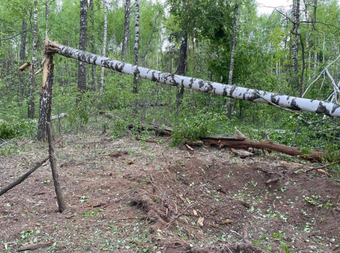 Российские войска обстреляли Черниговскую и Сумскую области из миномётов 1