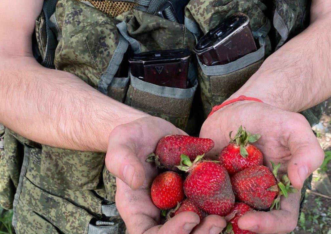 В Херсонской области оккупанты нанимаются к местным жителям собирать клубнику 1