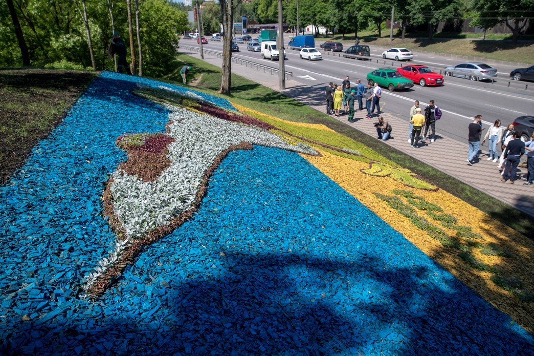 Інсталяцію з квітів "Примара Києва" внесли до реєстру рекордів України 1