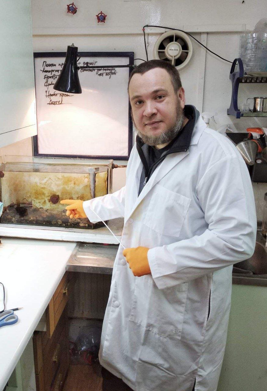 На станції «Академік Вернадський» оселився антарктичний морський їжак: в чому його унікальність 1