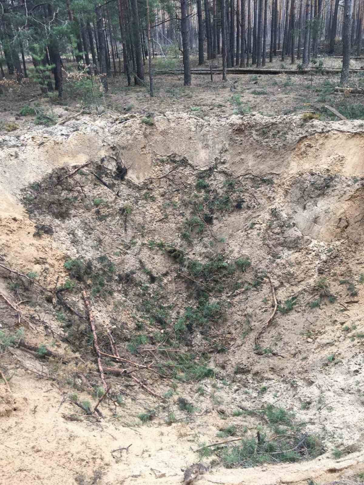 У Чернігівській області окупанти знищили 400 гектарів лісу: збитки складають більше 3 мільярдів гривень 4