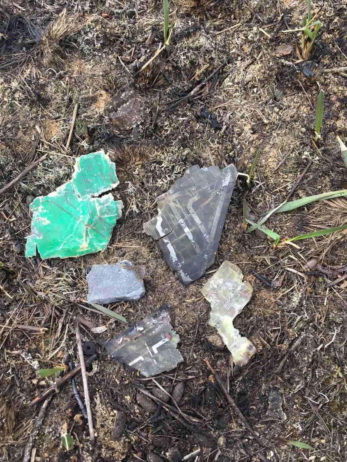 У Чернігівській області окупанти знищили 400 гектарів лісу: збитки складають більше 3 мільярдів гривень 2