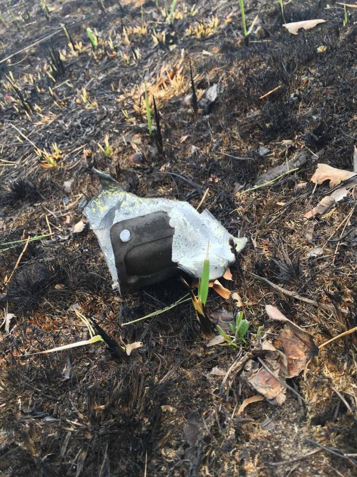 У Чернігівській області окупанти знищили 400 гектарів лісу: збитки складають більше 3 мільярдів гривень 3