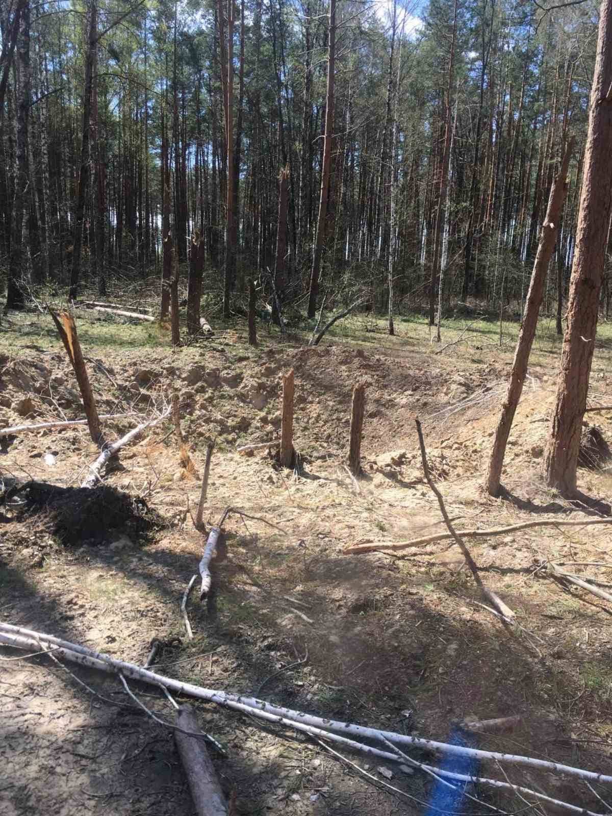 У Чернігівській області окупанти знищили 400 гектарів лісу: збитки складають більше 3 мільярдів гривень 1