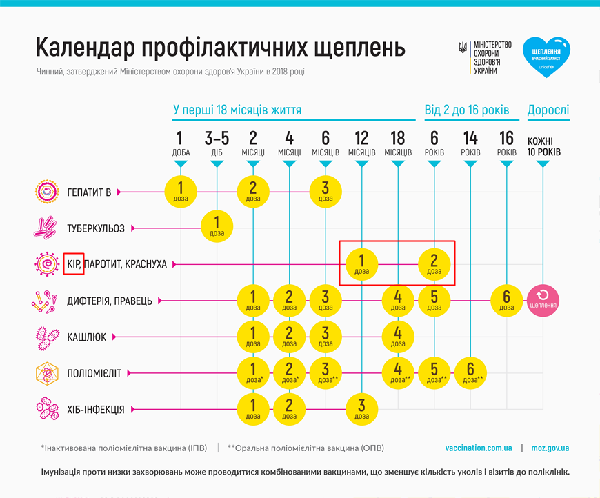 Календарь профилактических прививок