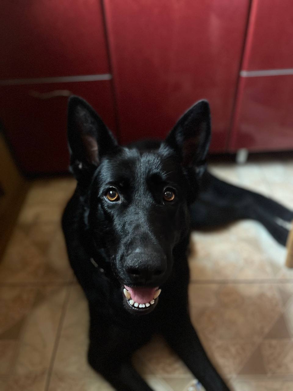 Мати захисника "Азовсталі" проїхала понад 20 блокпостів на шляху з Маріуполя, везучи у своїй сумці нагороди сина. Інтерв'ю 4