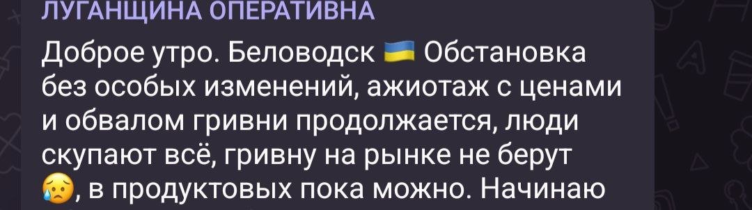 Пустая продуктовая сумка на полтысячи гривен. Жители оккупированных территорий Луганской области жалуются на высокие цены в магазинах 3