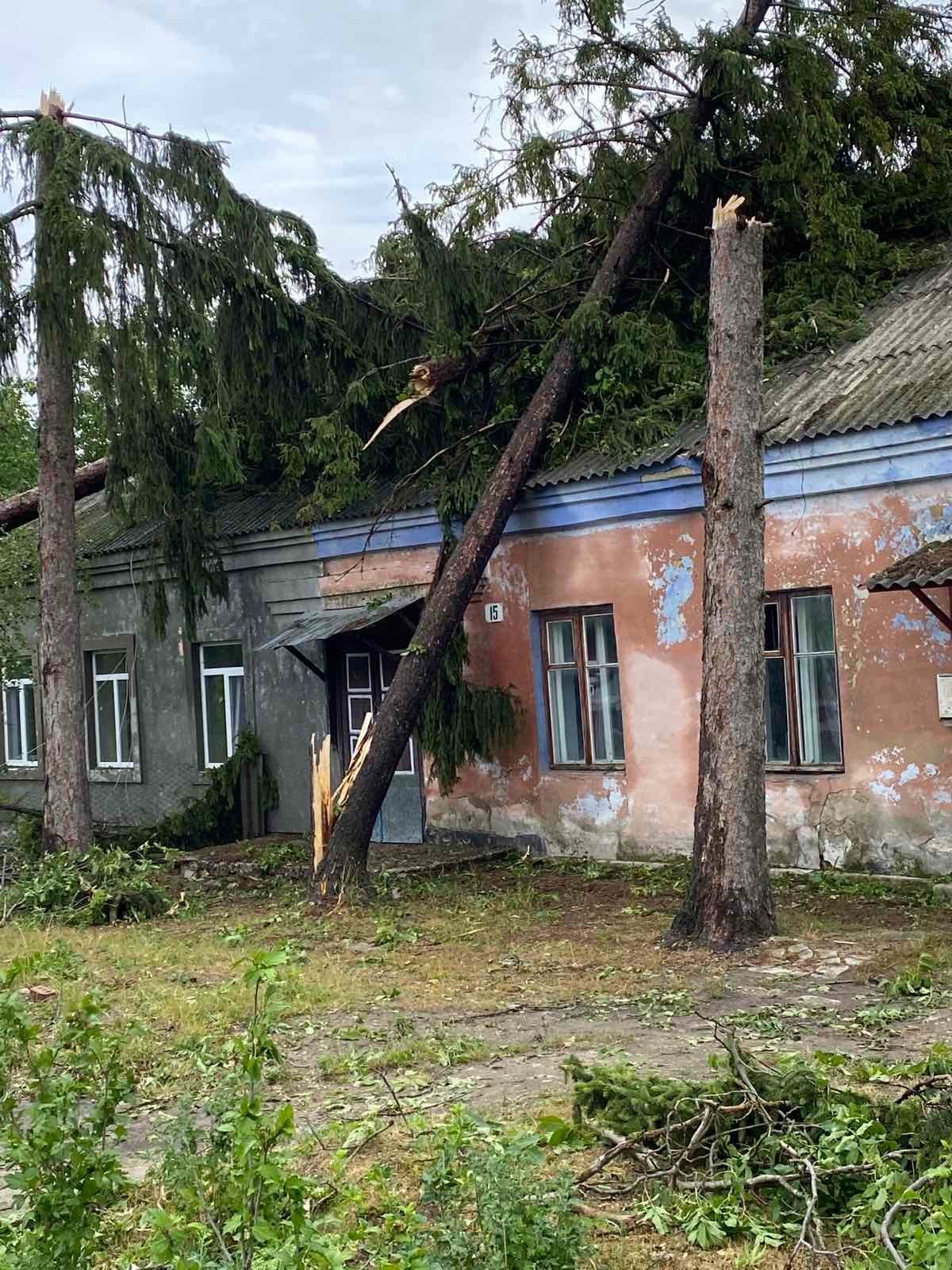 Буревій у Чернівецькій області завдав збитків на більше ніж 145 мільйонів гривень 2