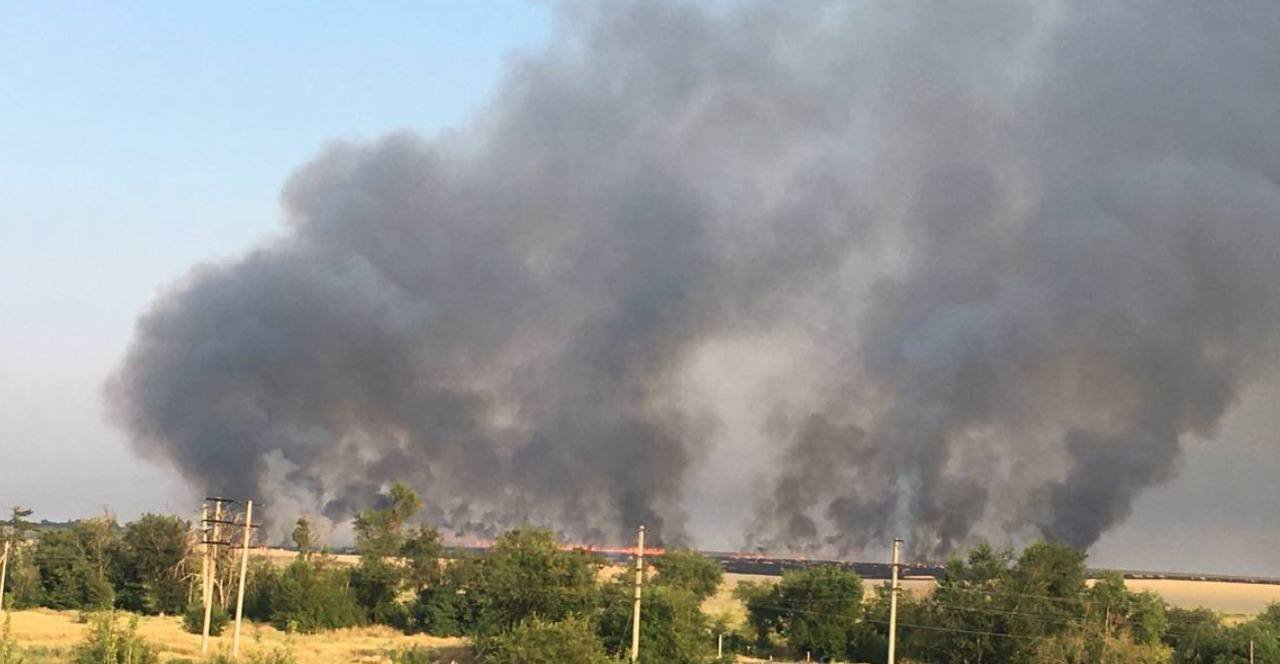 Возле Мариуполя партизаны подожгли поля с зерном, чтобы его не украли оккупанты 1