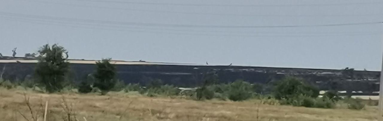 Возле Мариуполя партизаны подожгли поля с зерном, чтобы его не украли оккупанты 2